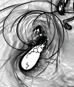 collapse