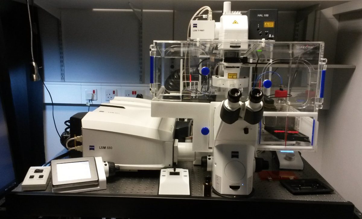 Zeiss LSM 880 Confocal Microscope CRUK City Of London Cancer Centre