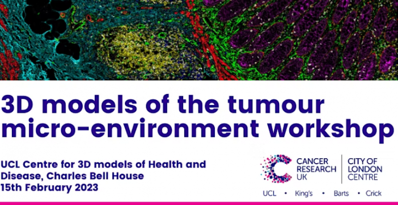 3d Models Of The Tumour Micro Environment Workshop Cruk City Of